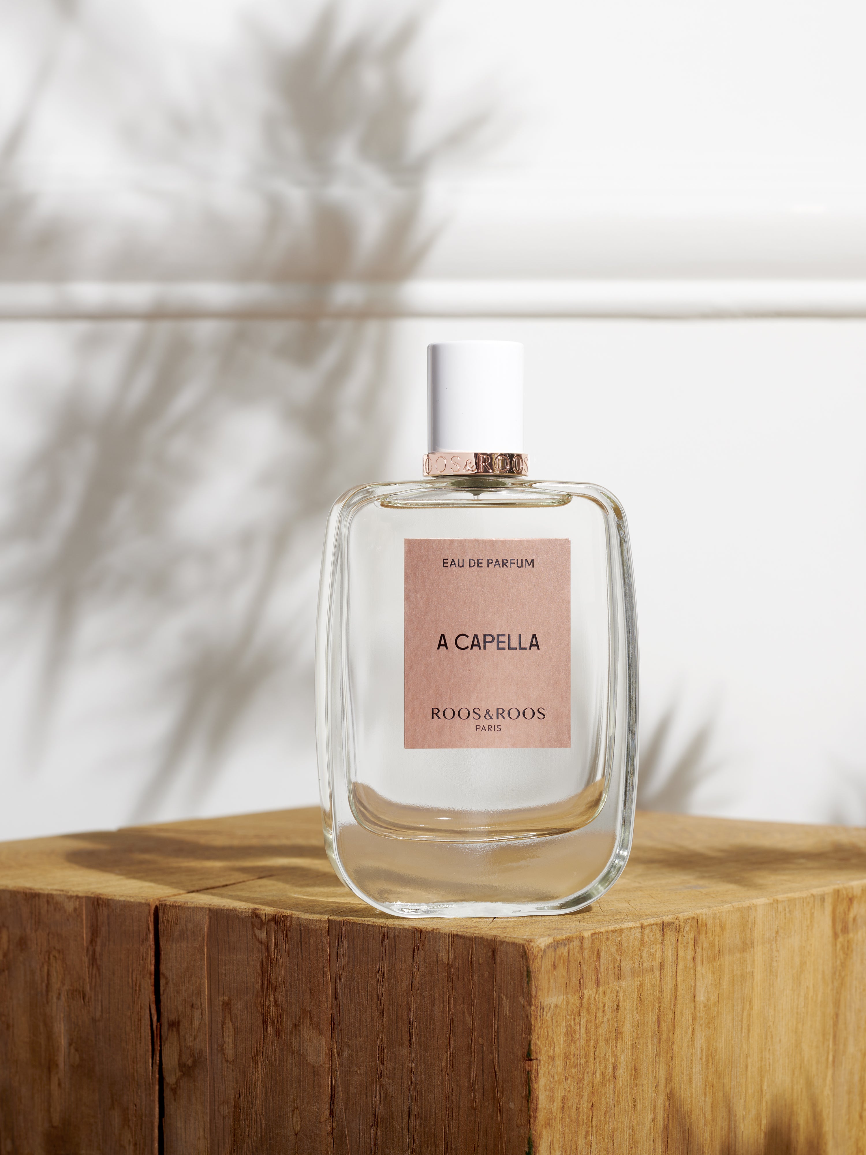 Roos & Roos – Roos & Roos