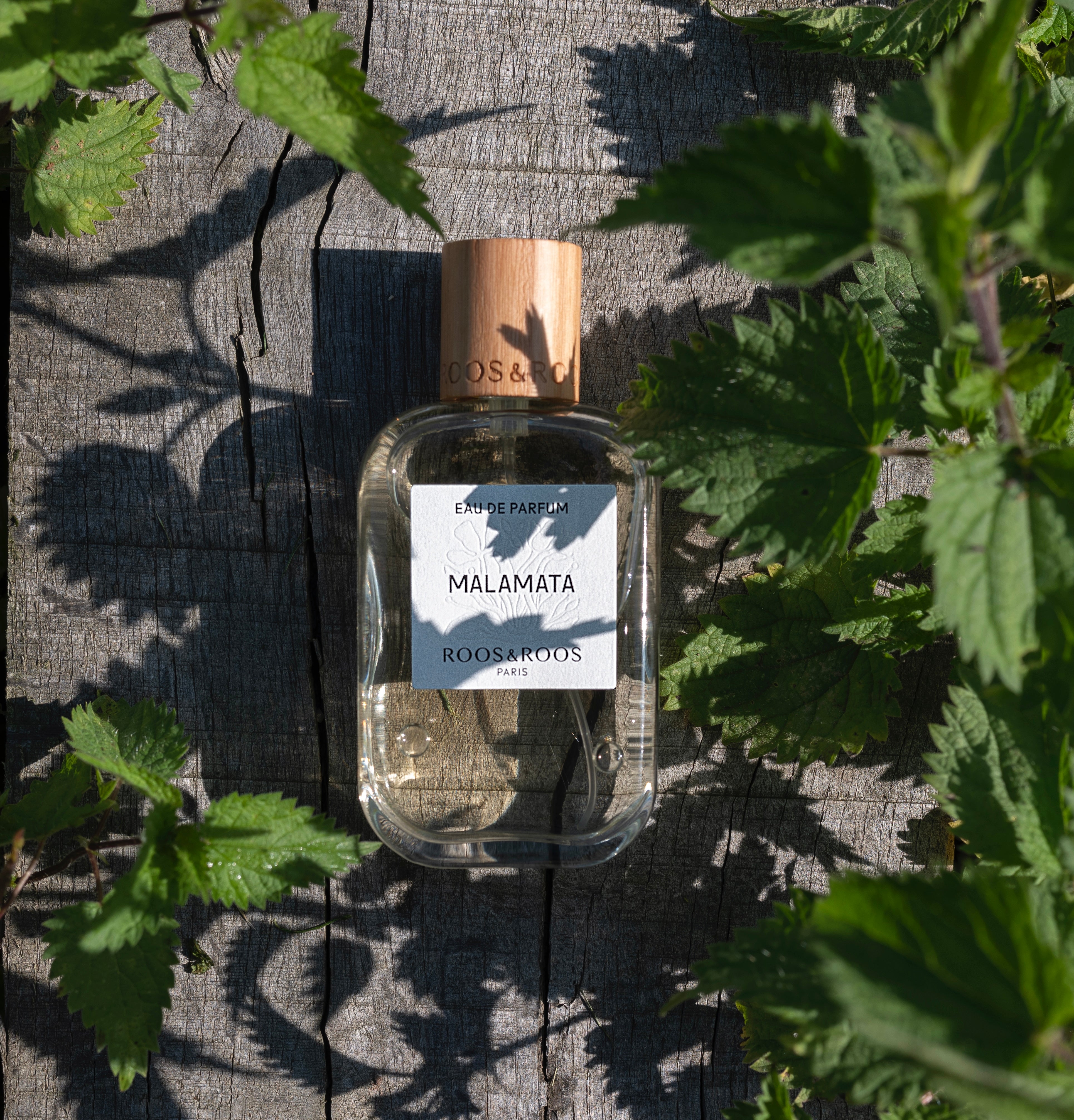 Aromatique – Roos & Roos