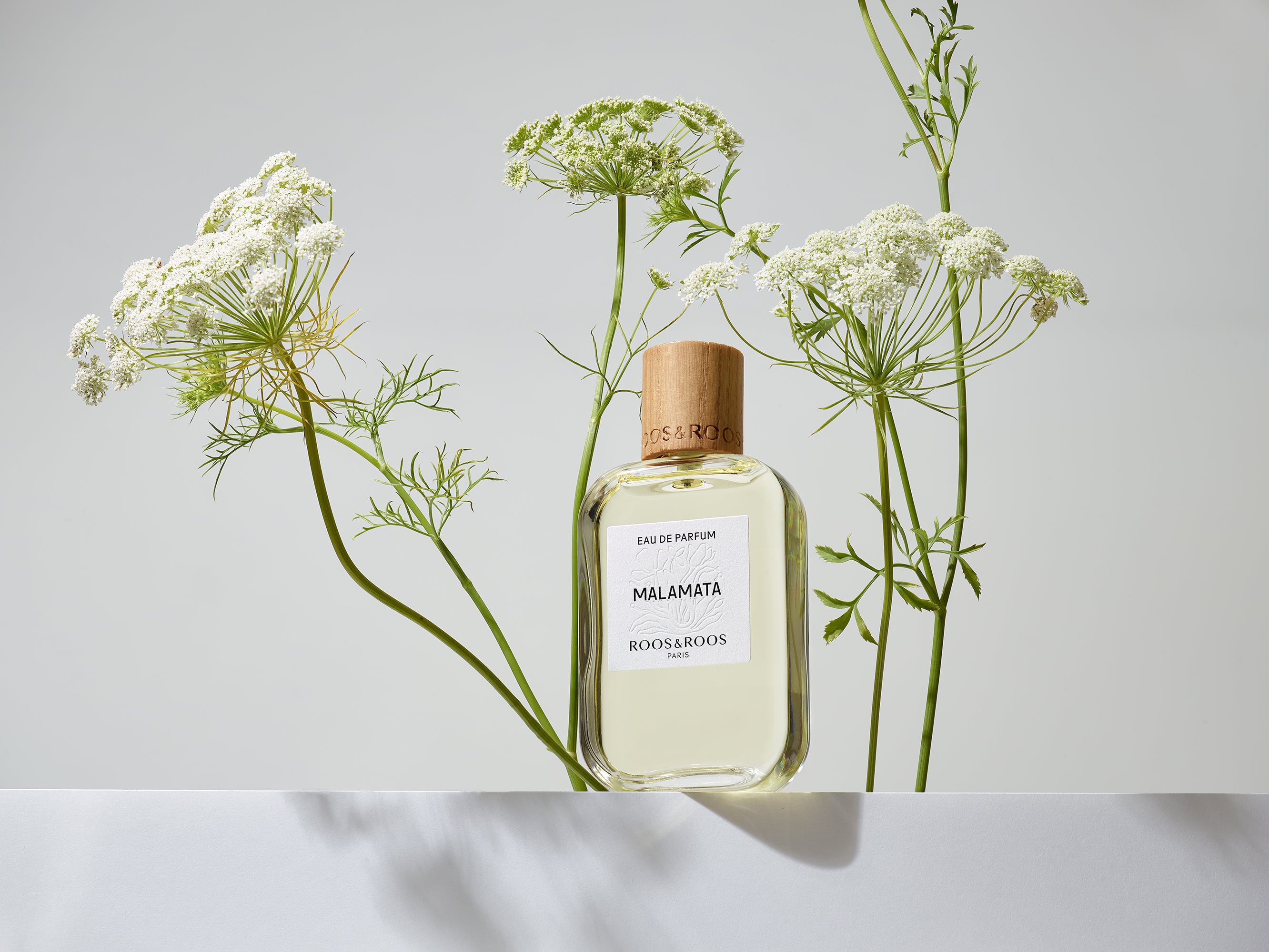 LES SIMPLES – Roos & Roos