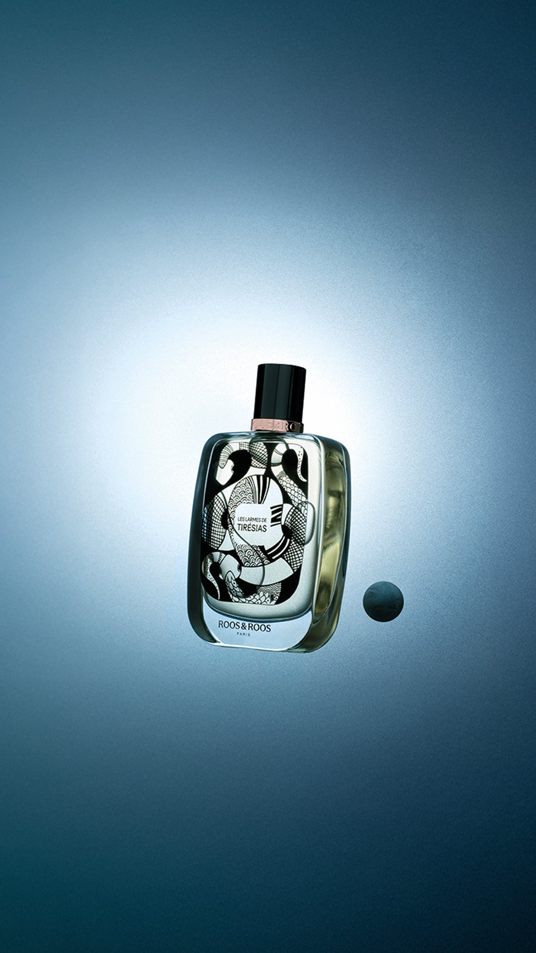 Roos & Roos – Roos & Roos